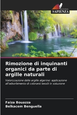 Rimozione di inquinanti organici da parte di argille naturali - Faiza Bouazza, Belkacem Benguella