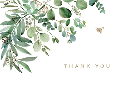Eucalyptus Thank You Note Cards (14 Cards, 15 Self-Sealing Envelopes) - 