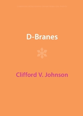 D-Branes
