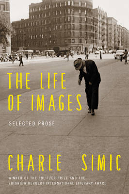 Life of Images -  Charles Simic