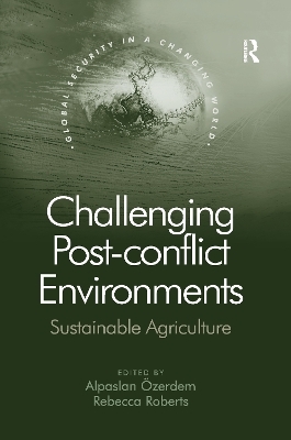 Challenging Post-conflict Environments - Alpaslan &Ouml;zerdem, Rebecca Roberts