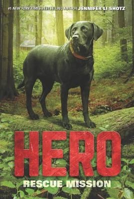 Hero -  Jennifer Li Shotz
