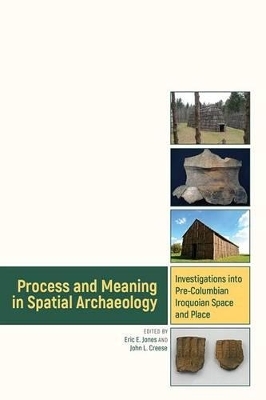 Process and Meaning in Spatial Archaeology - 