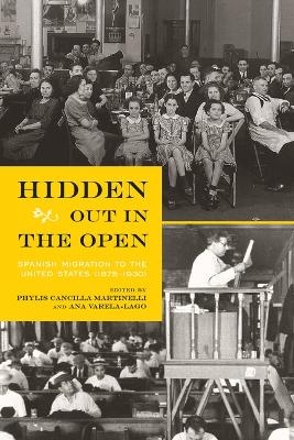 Hidden Out in the Open - 