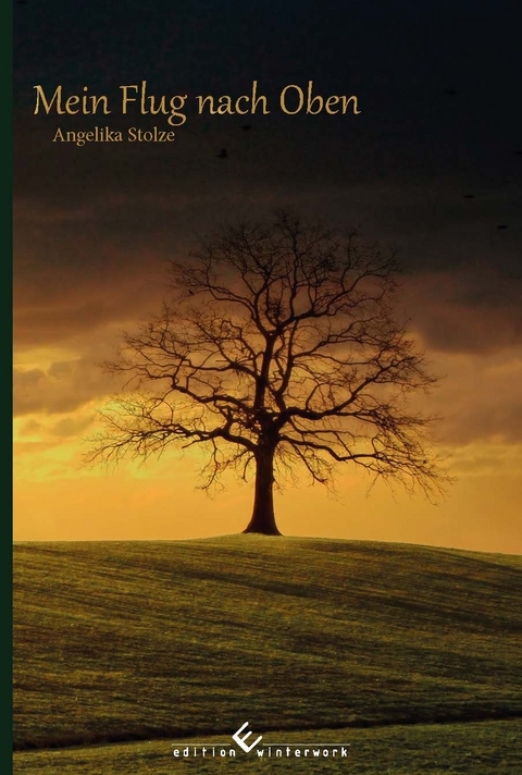 Mein Flug nach oben - Angelika Stolze