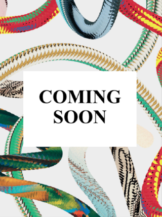 Rembrandt. Die Selbstporträts