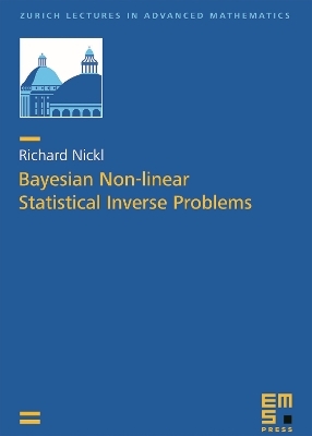 Bayesian Non-linear Statistical Inverse Problems