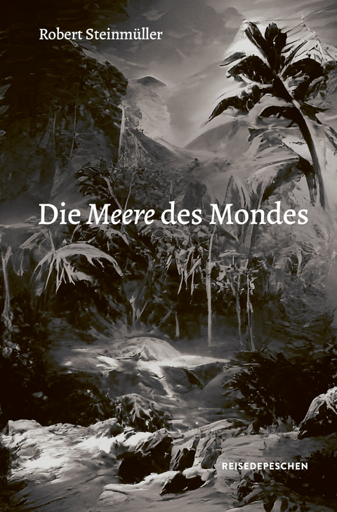 Die Meere des Mondes - Robert Steinm&uuml;ller