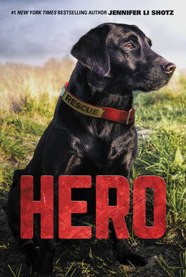 Hero -  Jennifer Li Shotz