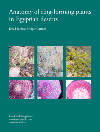 Anatomy of ring-forming plants in Egyptian deserts