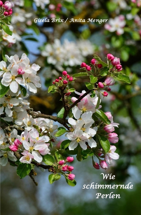 Wie schimmernde Perlen - Anita Menger, Gisela Brix