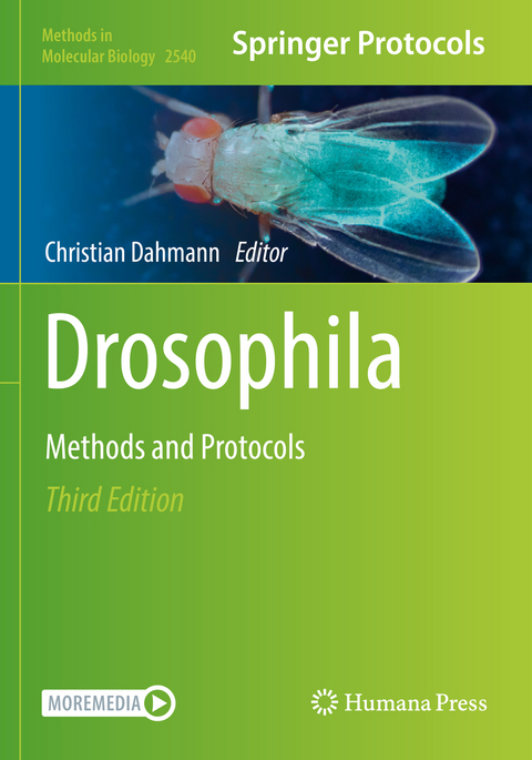 Drosophila - 