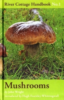 Mushrooms