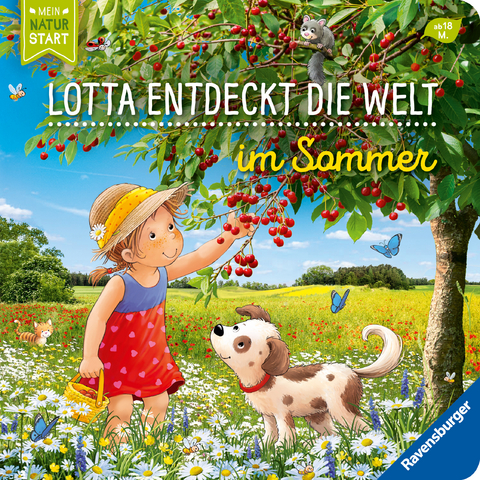 Lotta entdeckt die Welt: Im Sommer - Sandra Grimm