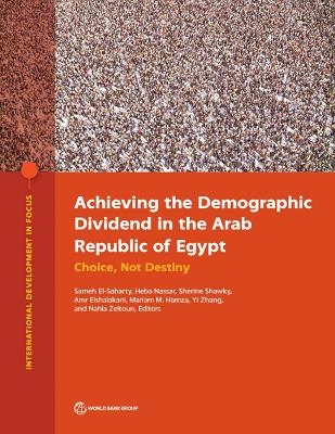 Achieving the Demographic Dividend in the Arab Republic of Egypt - 