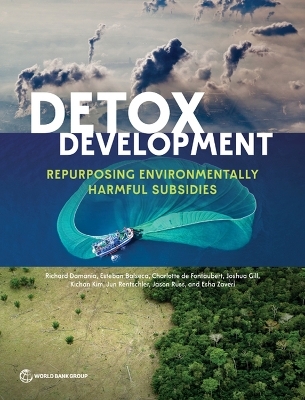 Detox Development - Richard Damania, Esteban Balseca, Charlotte De Fontaubert, Joshua Gill, Kichan Kim