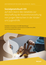 Sozialgesetzbuch VIII auf dem Stand des Gesetzes zur Abschaffung der Kostenheranziehung von jungen Menschen in der Kinder- und Jugendhilfe