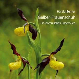 Gelber Frauenschuh