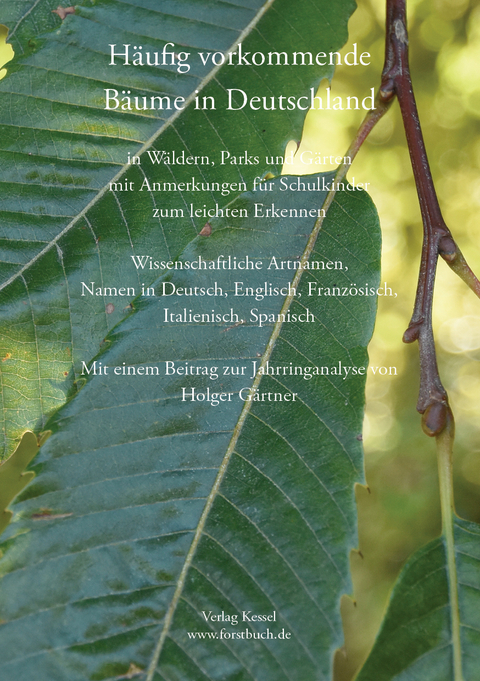 H&auml;ufig vorkommende B&auml;ume in Deutschland - Norbert Kessel, Holger G&auml;rtner