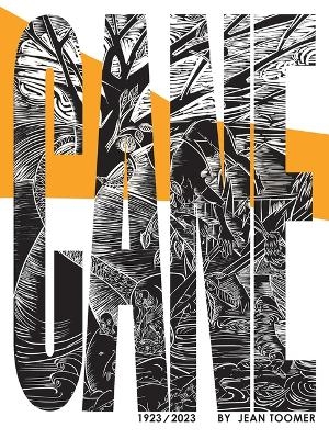 Cane: A New Critical Edition - Jean Toomer