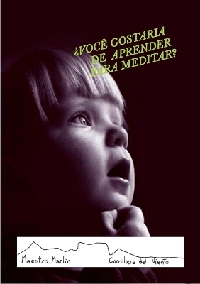 Voc&ecirc; Gostaria de Aprender Para Meditar - Mart&iacute;n Jorge Aldasoro