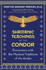 Shamanic Teachings of the Condor - Martha Winona Travers