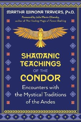 Shamanic Teachings of the Condor