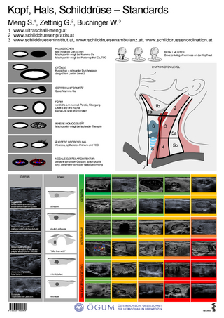 Kopf, Hals, Schilddrüse – Standards