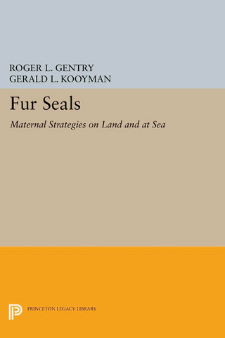 Fur Seals
