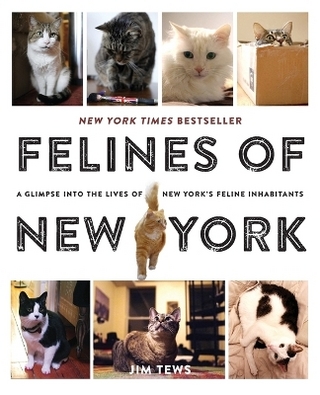 Felines of New York