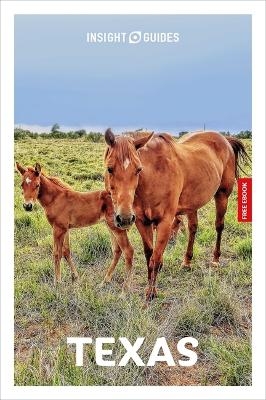 Insight Guides Texas: Travel Guide with eBook - Rashmi Narayan