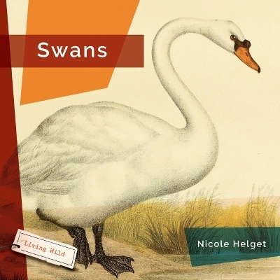 Swans - Nicole Helget