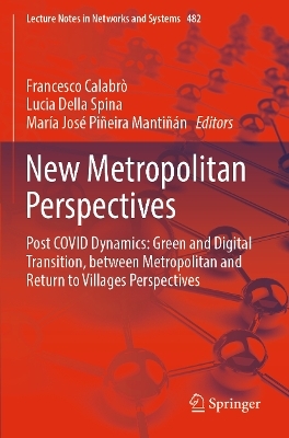 New Metropolitan Perspectives