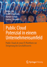 Public Cloud Potenzial in einem Unternehmensumfeld - Niklas Feil, Andr&eacute; B&ouml;gelsack, Ram&oacute;n Schulz, Gabriel Abrantes