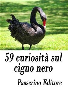 59 curiosità sul cigno nero
