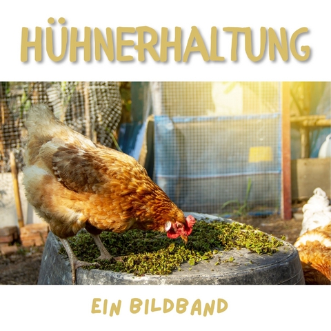 Hühnerhaltung - Tim Fröhlich