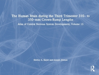 The Human Brain during the Third Trimester 310– to 350–mm Crown-Rump Lengths