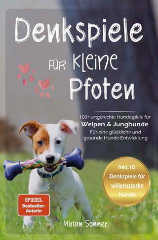 Denkspiele für kleine Pfoten