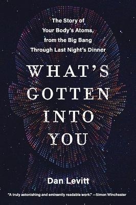 What's Gotten into You - Dan Levitt