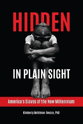 Hidden in Plain Sight - Kimberly Mehlman-Orozco