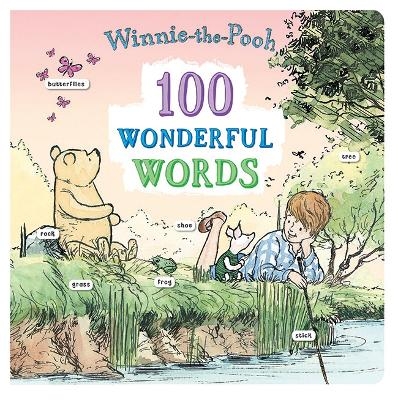 100 Wonderful Words -  Winnie-the-Pooh