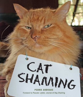 Cat Shaming - Pedro Andrade