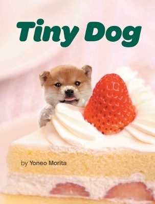 Tiny Dog - 