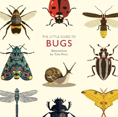 The Little Guide to Bugs - Alison Davies