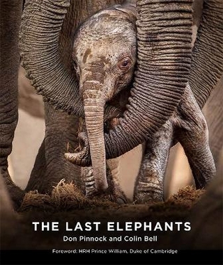 The Last Elephants