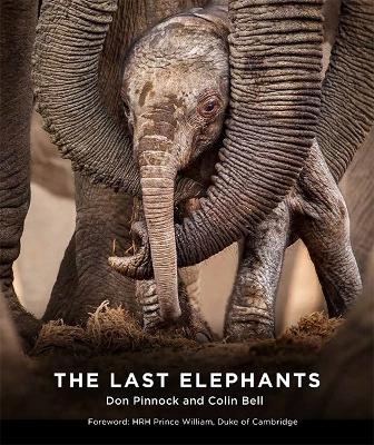 The Last Elephants - Colin Bell, Don Pinnock
