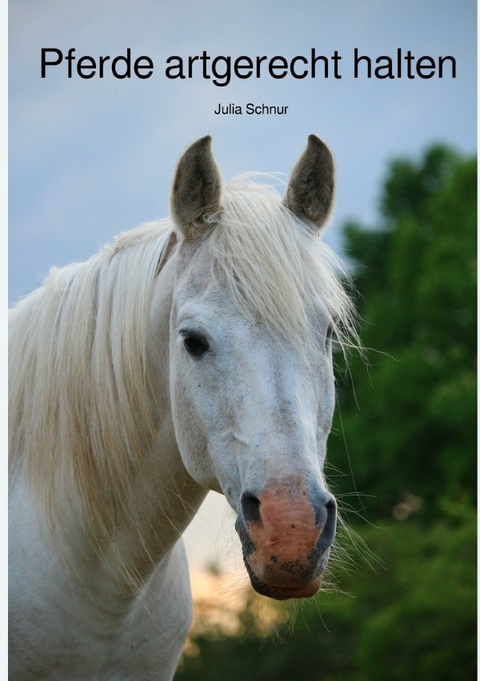 Pferde artgerecht halten - Julia Schnur