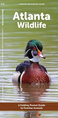 Atlanta Wildlife -  Waterford Press