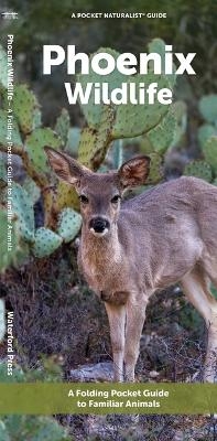 Phoenix Wildlife -  Waterford Press