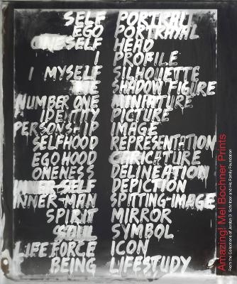 Amazing! Mel Bochner Prints - 